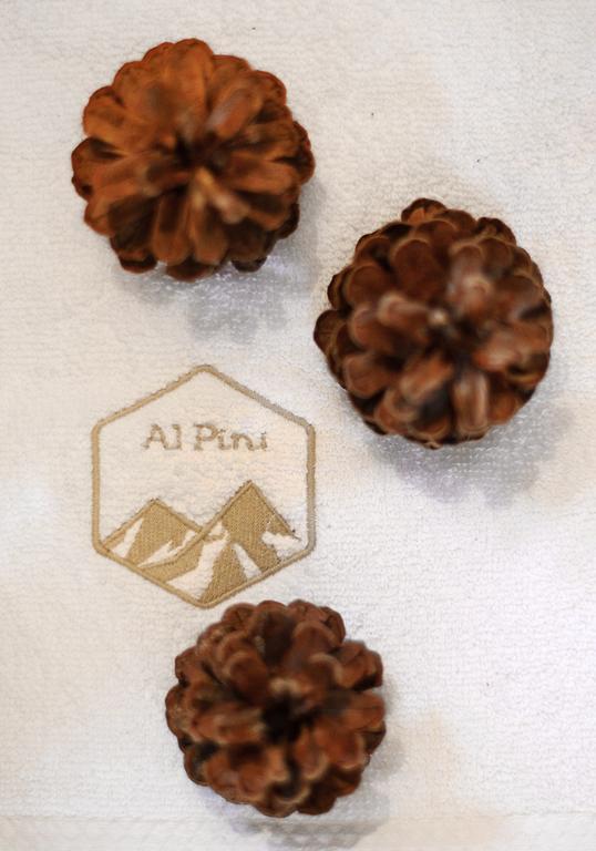 Alpini Apartamenty Zakopane Rom bilde